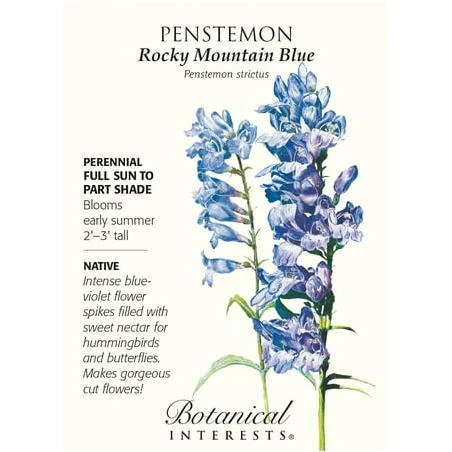 Rocky Mountain Blue Penstemon Seeds - 350 mg