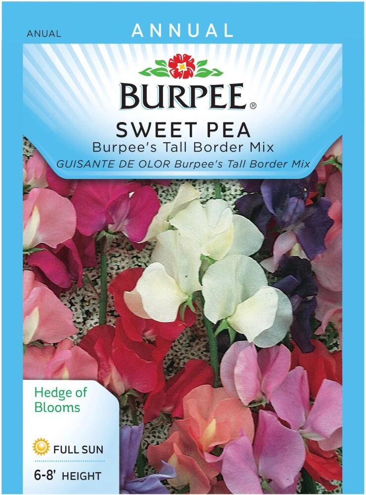 Burpee® Tall Border Mix Sweet Pea Seeds
