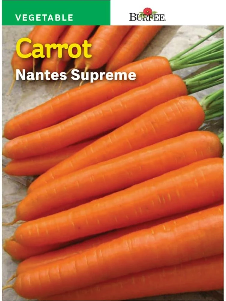 Burpee Nantes Supreme Carrot Seeds - Orange