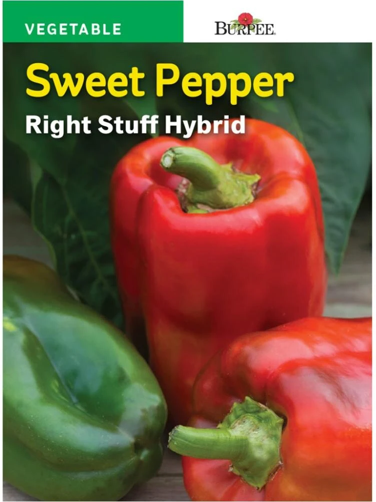 Burpee Right Stuff Hybrid Sweet Pepper Seeds - Multi-Color