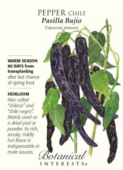Pepper: Chile, Pasilla Bajio