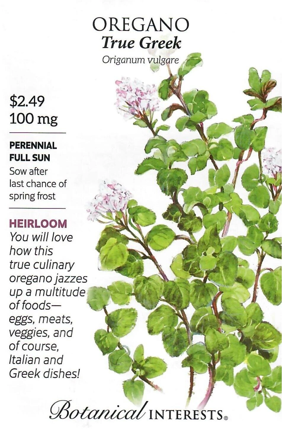 Oregano True Greek Herb Seeds - Botanical Interests 12/23
