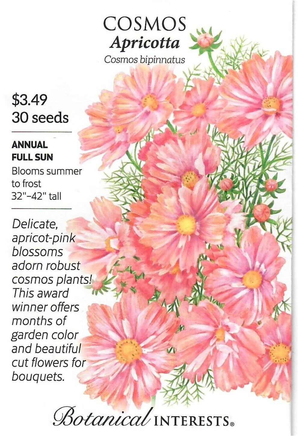 Cosmos Apricotta Flower Seeds - Botanical Interests 12/23