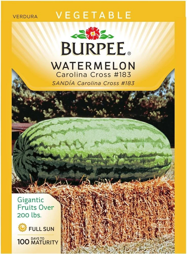 Burpee Carolina 183 Heirloom Watermelon Seeds - Green