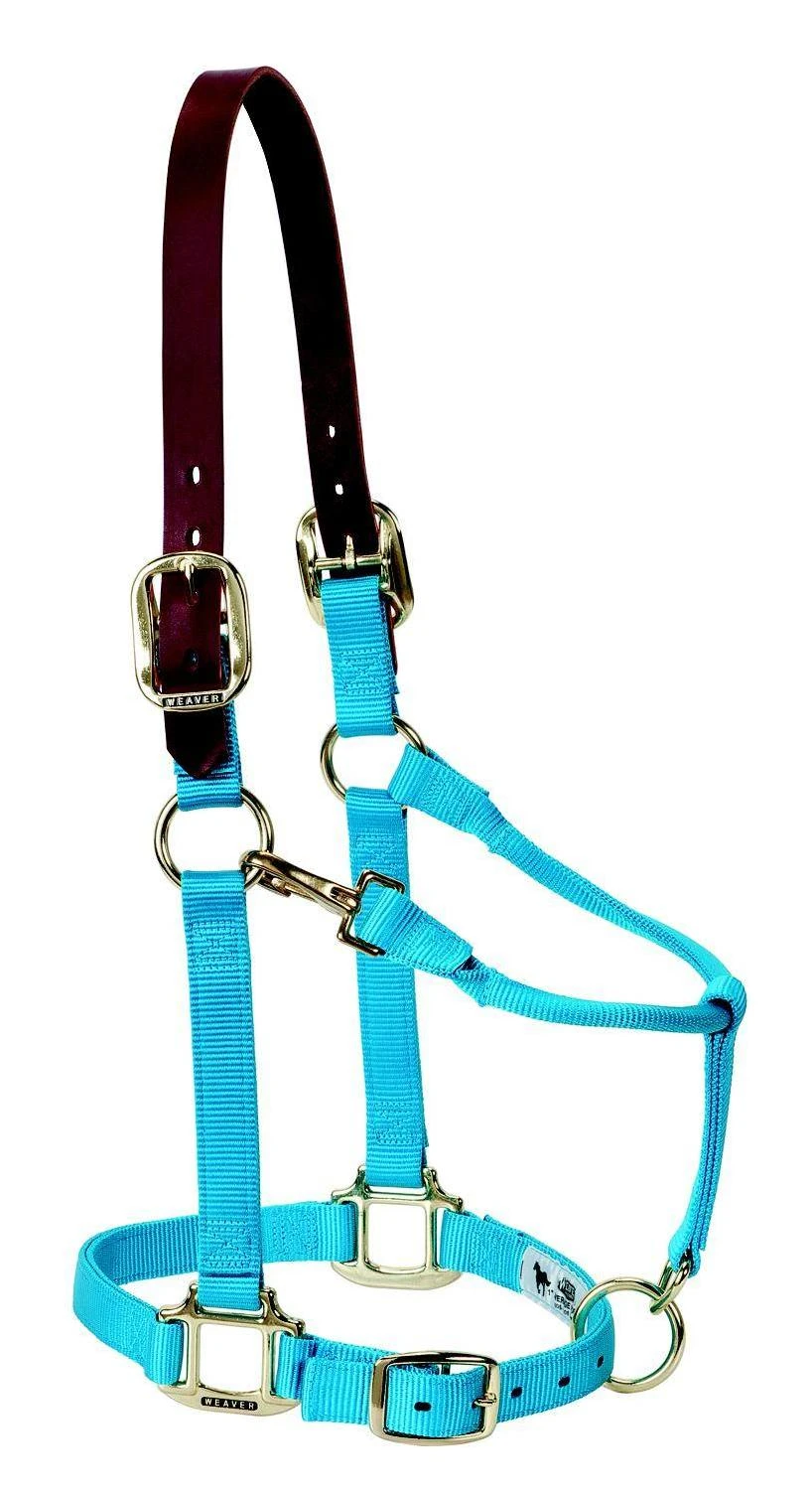 Weaver Leather Copper Creek Adjustable Breakaway Halter Average Hurricane Blue