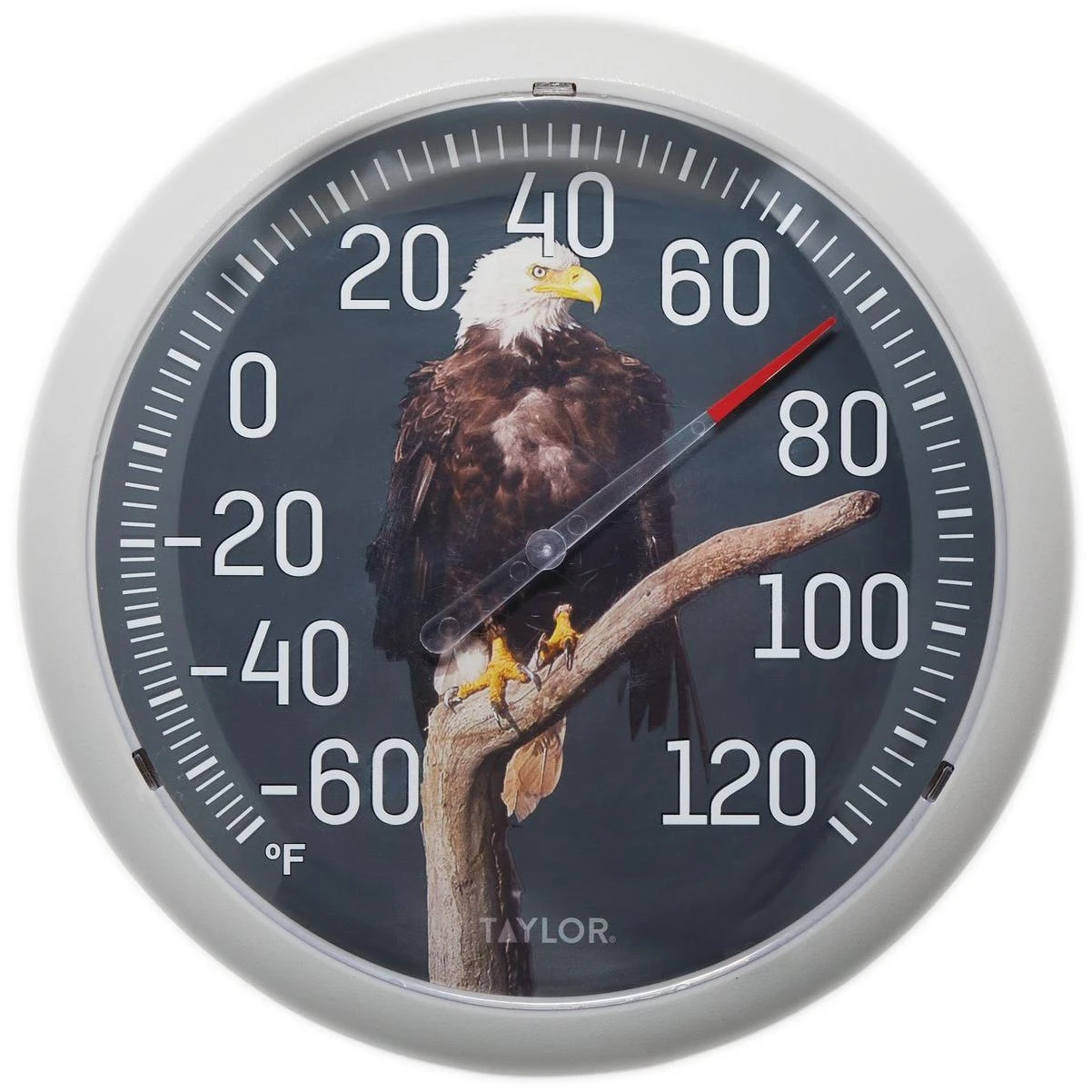 Taylor 13.25 In. Eagle Nature Round Dial Thermometer