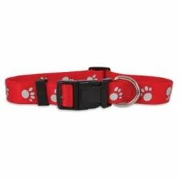 3/8X8-14 RED PAW COLLAR