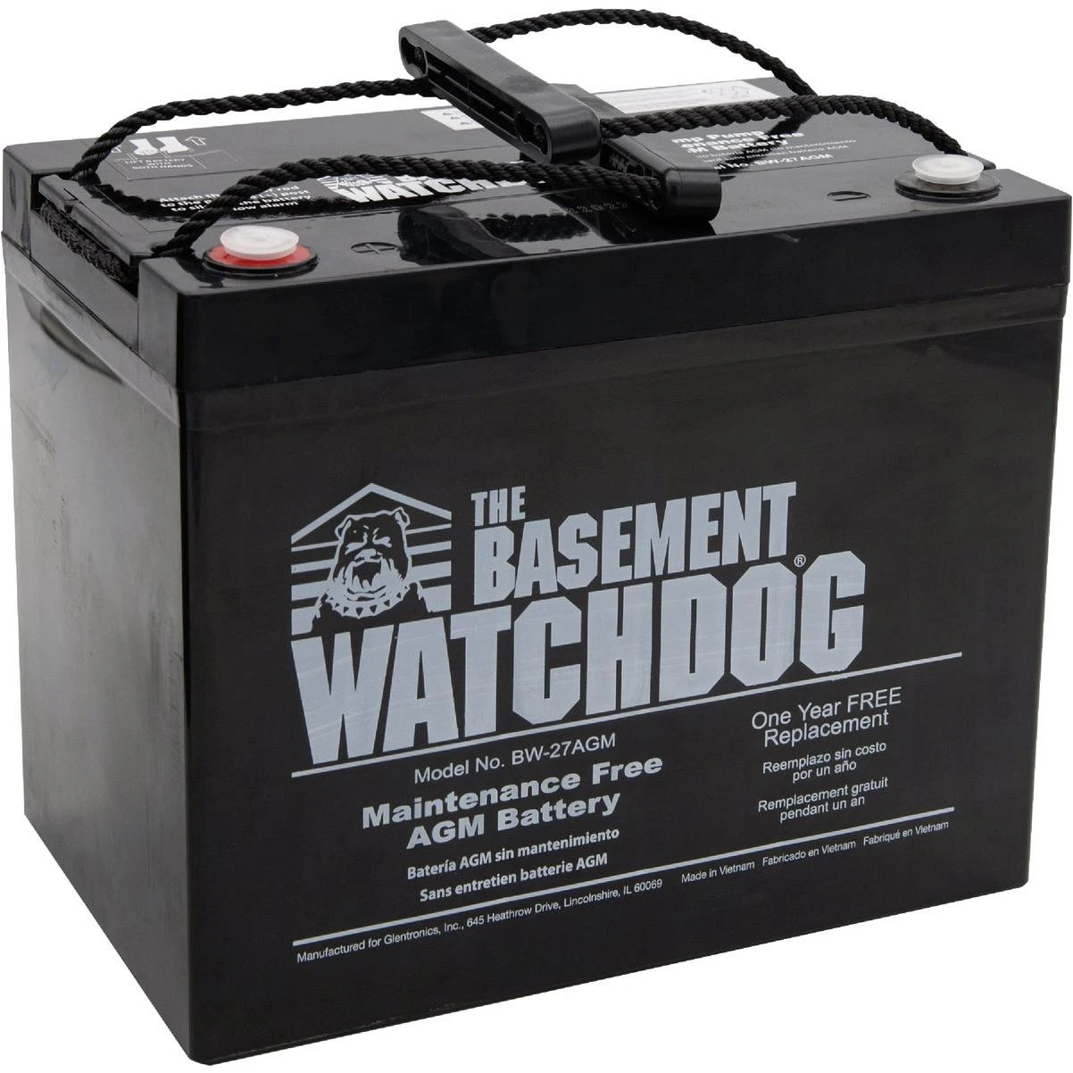 The Basement Watchdog Maintenance Free AGM Standby Sump Pump Battery