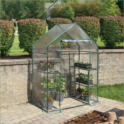 MED MINI GREENHOUSE