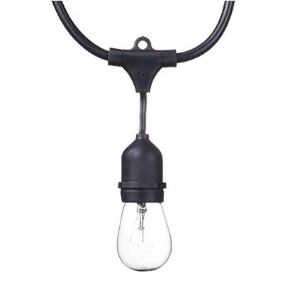 Dublin Incandescent Outdoor String Light Set with 12 Bulbs, 24 Feet Long