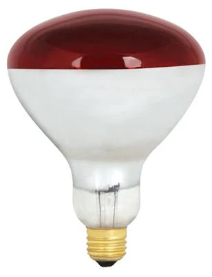 Heat Lamp, R40, Dimmable, 250-Watts