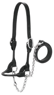 Livestock Show Halter, Black Color, Small Size