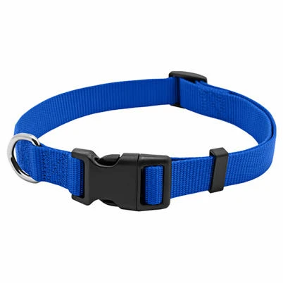 PE 1X22 BLU DOG COLLAR