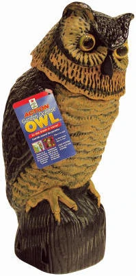 BOBBLE HEAD OWL