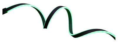 Green Neon Flex Rope Light, 13 Feet Length, Flexible LED Lighting