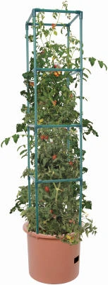 Tomato Barrel & Tower
