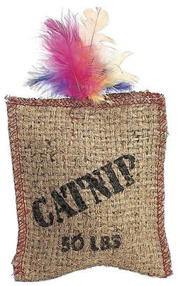 Jute and Feather Sack Cat Toy with Catnip for Interactive Pet Play