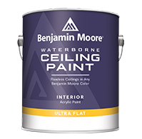 Waterborne Ceiling Paint