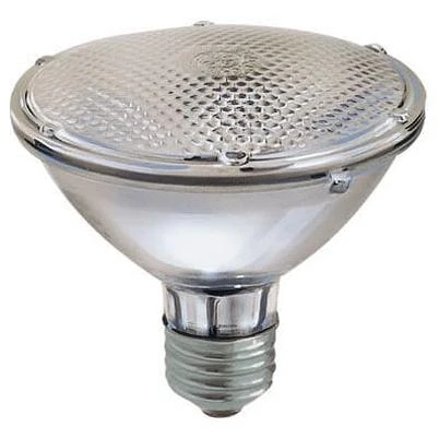 Halogen Flood Light Bulb, Short Neck, Indoor Use, Par 30, 38 Watts
