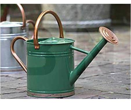 1 Gallon Hunter Green Galvanized Steel Watering Can With Copper Accents