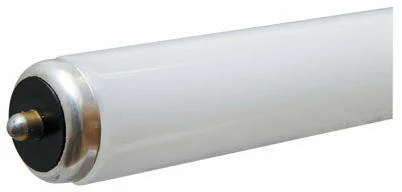 8-Foot Cool White Fluorescent Tube Light Bulb, 60-Watt