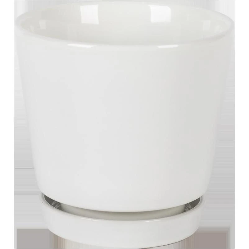 Border Concepts 8 in. D Ceramic Flair Saucer Planter White