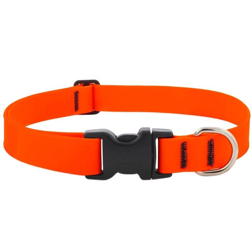 Lupine 1-Inch Waterproof Neon Orange Adjustable Dog Collar, 12–20 in