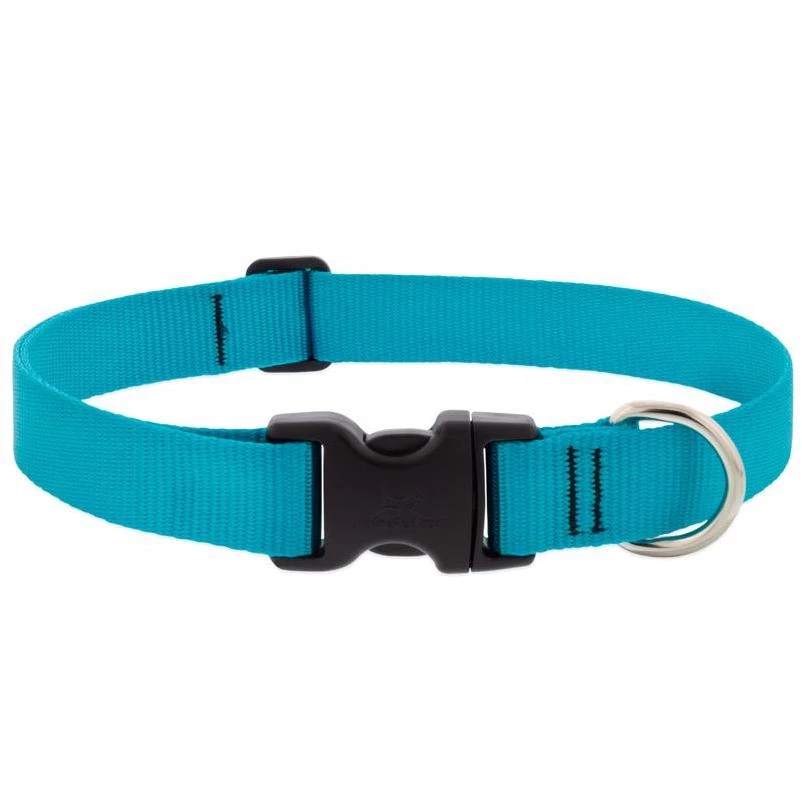 LupinePet Aqua Nylon Dog Adjustable Collar Medium/Large