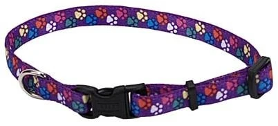 Paw Print 3/8-Inch Adjustable Nylon Dog Collar - 8 to 12 Inches