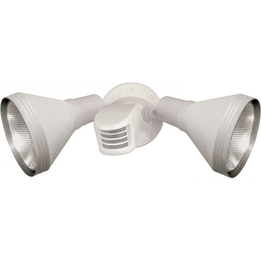Tony 2-Light White Flood Light