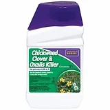 Chickweed & Clover Killer, Concentrate, 1-Pt.