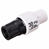Water Pressure Regulator, 3/4-In. FPT x 3/4-In. FPT, 30 PSI