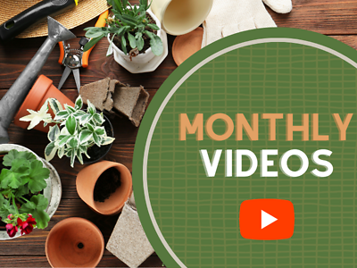 Monthly Videos Below!