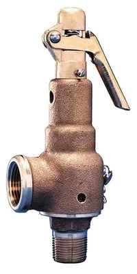 GETINGE 570107601 Safety Valve 3/4 x 1" 100 PSI - 8726