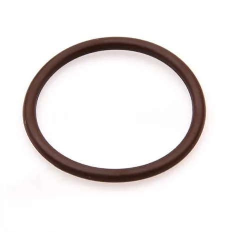 STERIS 10006363 System 1E O-ring - 7979