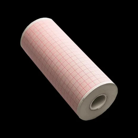 40996000 Roll Paper (4523865)
