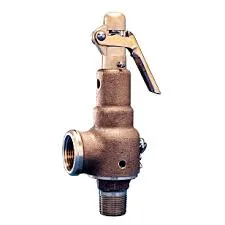 GETINGE 61301607205 Safety Valve 1/2 x 3/4" 80 PSI - 9962