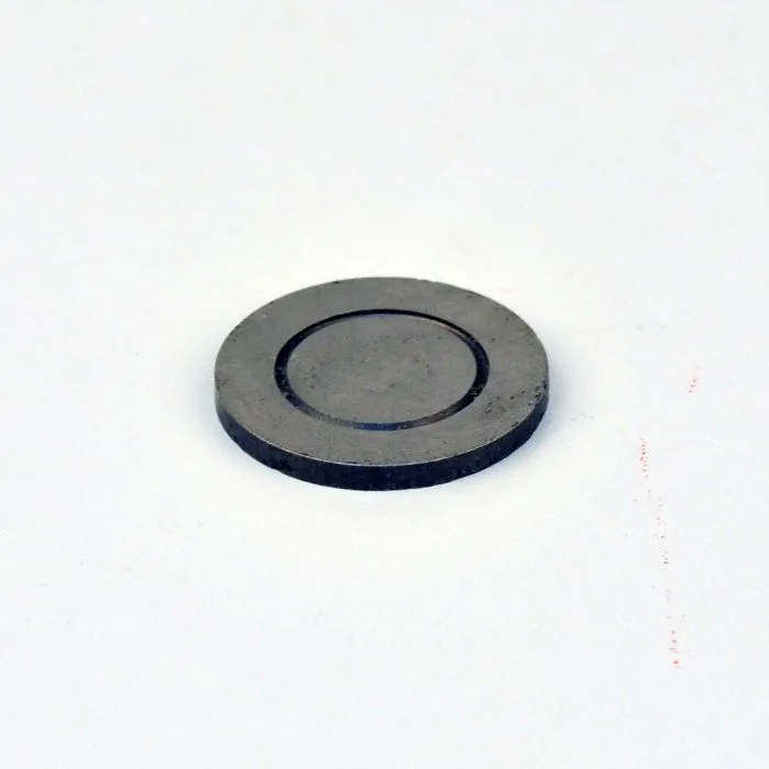 GETINGE P0011201-DISC Steam Trap Repair Kit 1" Disc Only - 1717