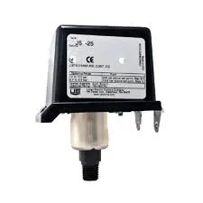 GETINGE 61301600350 Door Gasket Pressure Switch 60 PSI - 2966