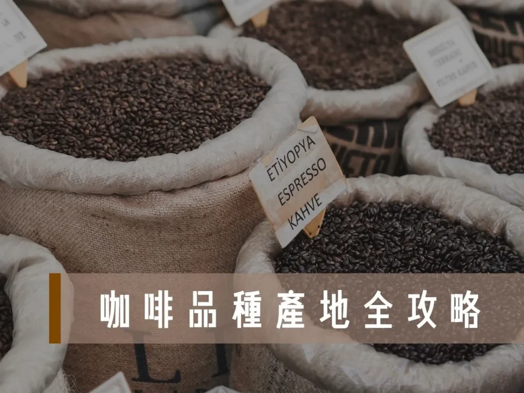 咖啡品種及產地 咖啡品種介紹 咖啡品種圖 咖啡豆口味 咖啡品種風味
