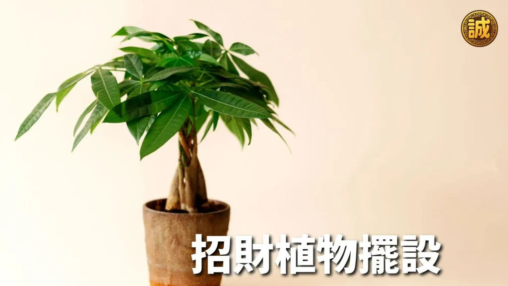 如何轉運招財