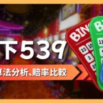 地下539 地下539玩法 地下539投注 地下539怎麼玩 地下539去哪買