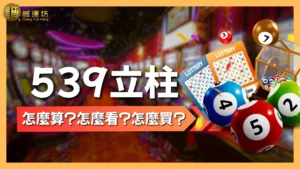539立柱