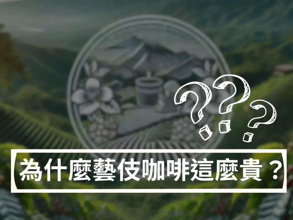 藝伎咖啡 巴拿馬 哥斯大黎加 衣索比亞 精品咖啡