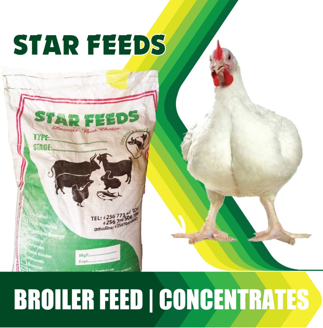 Broiler Grower concentrate