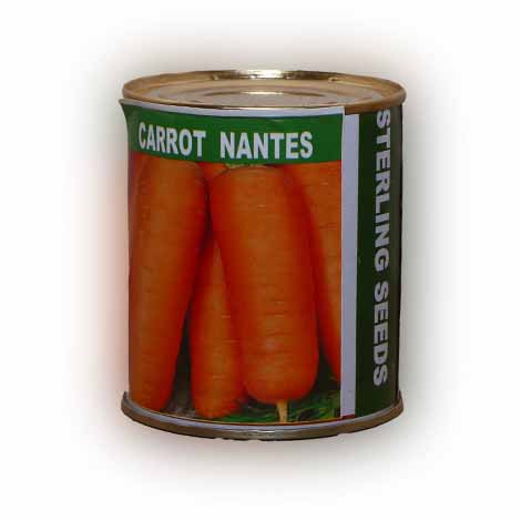 Nantes – High yielding Carrots with straight, long cylindrical roots