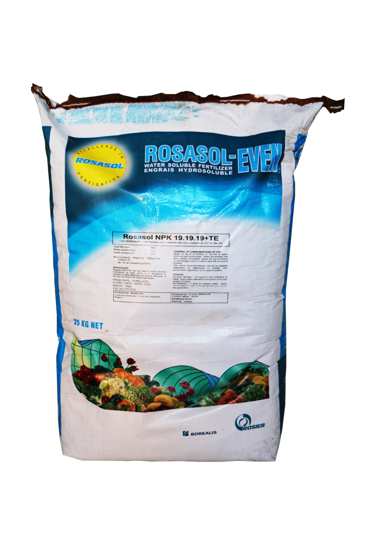 Rosasol - Even (NPK 19:19:19 +TE) – Water soluble fertilizer