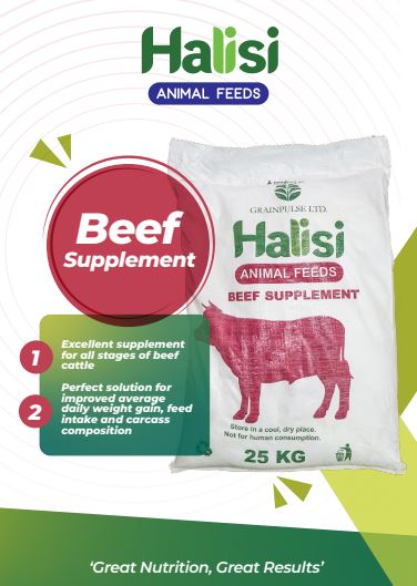 Halisi-Beef Supplement (Animal Feeds)