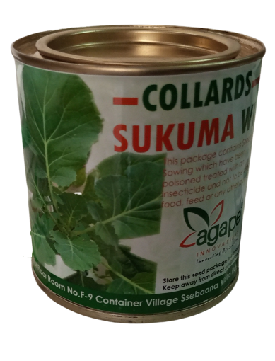 IMPROVE YOUR SUKUMA WIKI VALUE