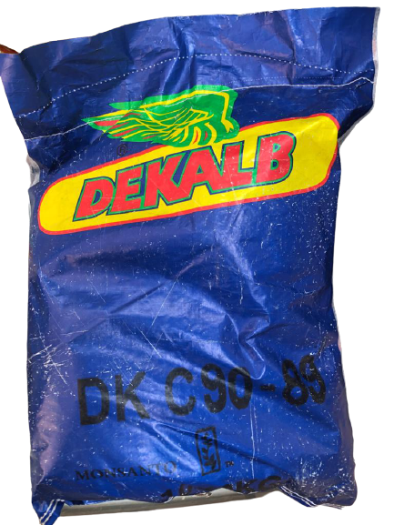 DK C 90-89 – Maize Seed